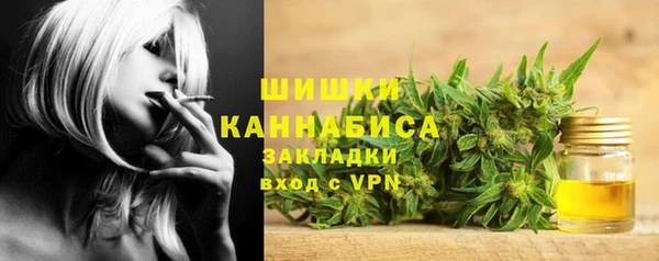 сатива Арсеньев