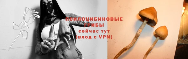 СК Аркадак