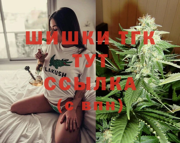 сатива Арсеньев