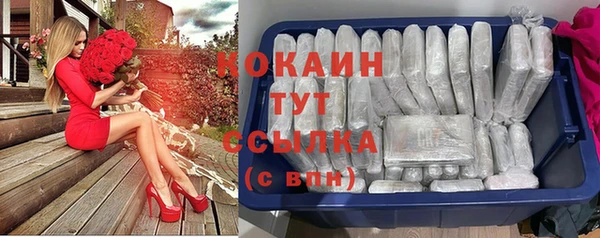 сатива Арсеньев