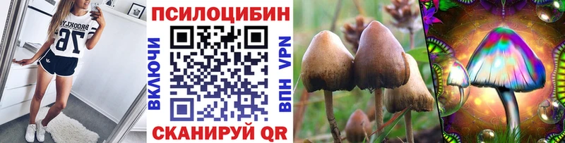 Псилоцибиновые грибы мухоморы  Комсомольск 